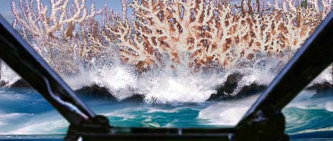 Leia races towards a huge coral island ahead.