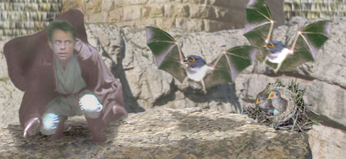 Luke disturbs a nest of hawk-bats near the base of the Hutt castle tower. Artwork by Nat.