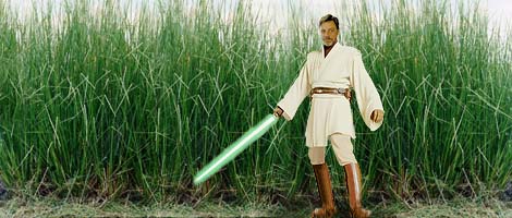 Artwork by Scott & Nat : Master Luke in grasslands, concept.